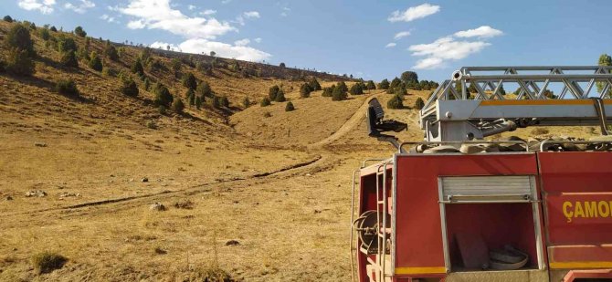 Giresun’da Örtü Yangını, Ormana Sıçramadan Kontrol Altına Alındı