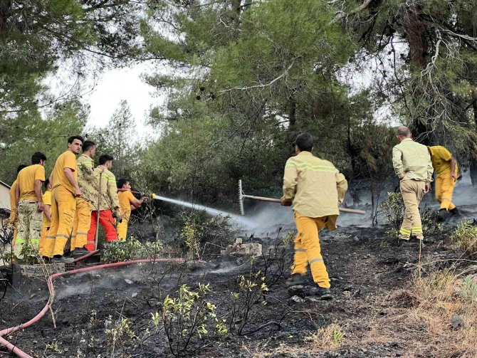 Hatay’da Ormanlık Alanda Çıkan Yangın Evlere Sıçramadan Söndürüldü