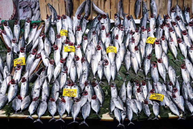 İ̇stanbul’da Tezgahlarda Palamut Bolluğu