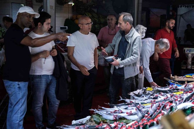 İ̇stanbul’da Tezgahlarda Palamut Bolluğu