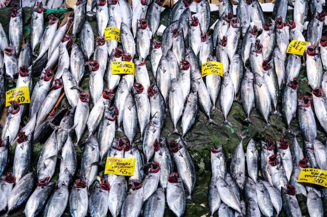 İ̇stanbul’da Tezgahlarda Palamut Bolluğu