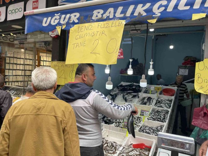 Ordu’da Palamut Balığını Tanesi 20 Liraya Düştü