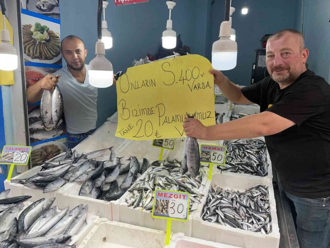 Ordu’da Palamut Balığını Tanesi 20 Liraya Düştü