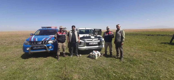 Kars’ta Kaçak Şahin Avı Yapan 2 Kişi Yakalandı