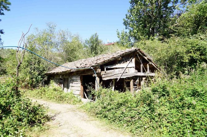 Susuz Kalan 500 Yılık Değirmen Çürümeye Yüz Tuttu