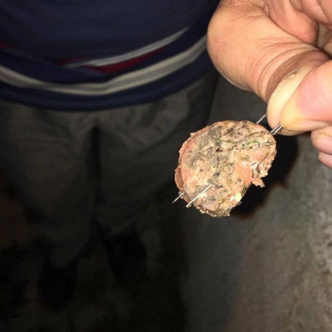 İ̇ğneleri Sucuklara Saplayıp Köpeklere Yedirmeye Çalıştılar