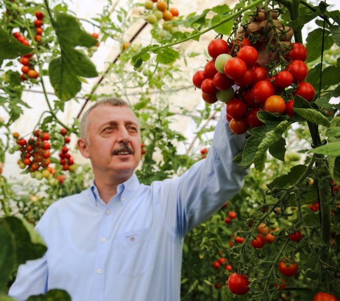 Büyükşehirden Çiftçiye 86 Milyonluk Mazot Ve Tohum Desteği