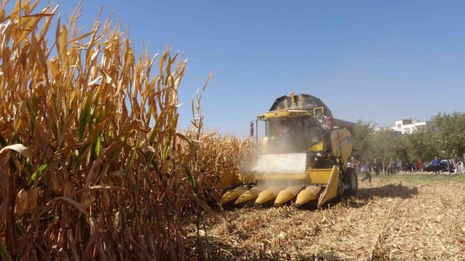 Batmanlı Çiftçiler Dikkat: Anız Yakanlar 5 Yıl Tarımsal Destek Alamayacak