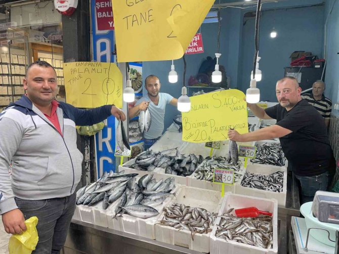 Ordu’da Palamut Balığını Tanesi 20 Liraya Düştü