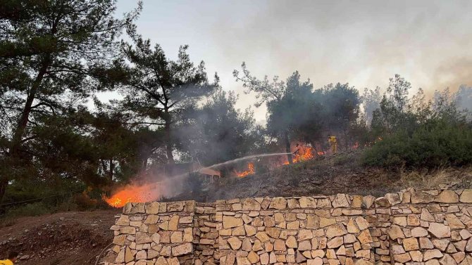 Hatay’da Ormanlık Alanda Çıkan Yangın Evlere Sıçramadan Söndürüldü