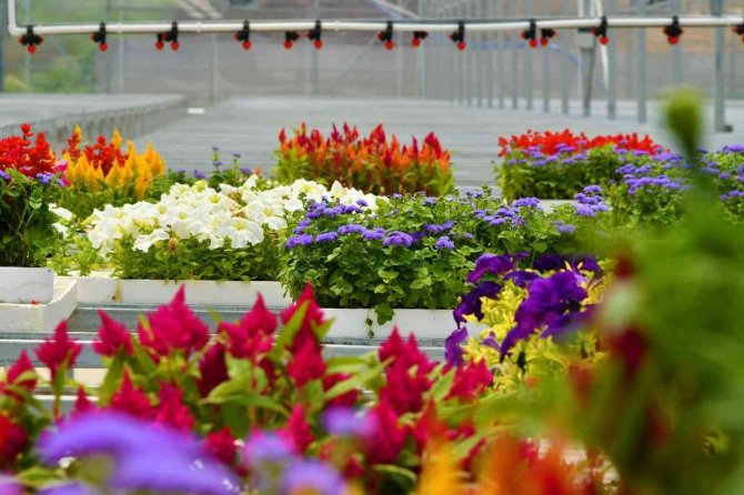 Atıkların Çiçeği Dönüştüğü Projeye Ödül