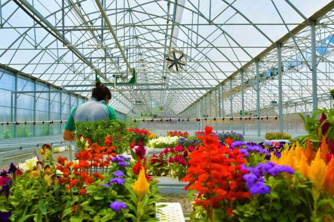 Atıkların Çiçeği Dönüştüğü Projeye Ödül