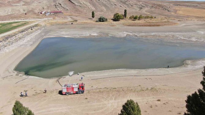 Uyarıları Dinlemediler, Kuruttukları Gölette Binlerce Balık Öldü