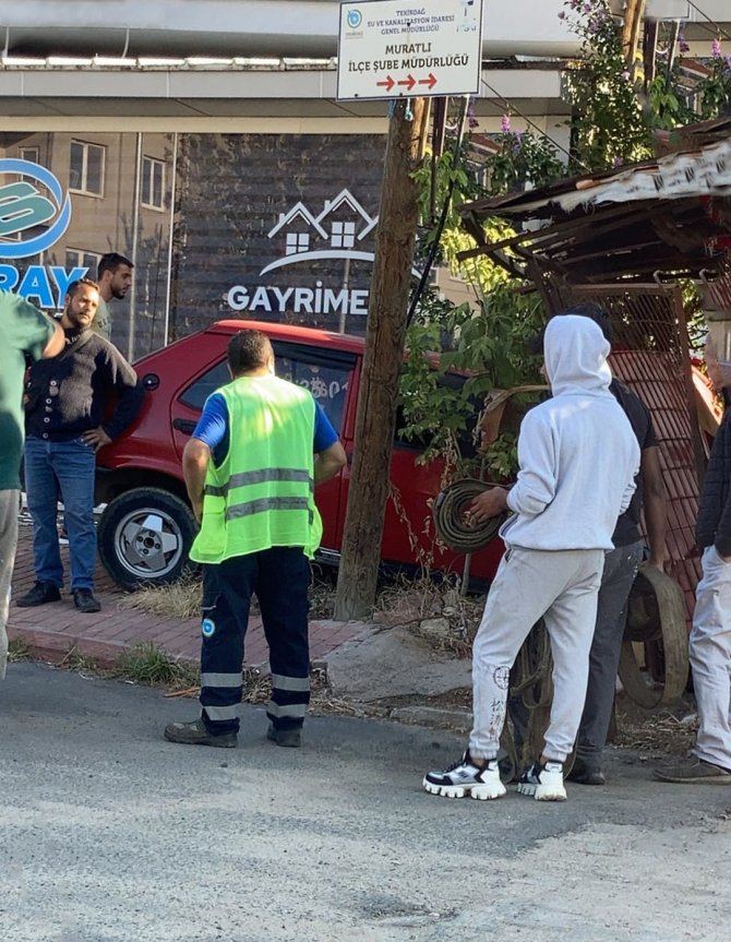 Otomobil Bahçeye Daldı