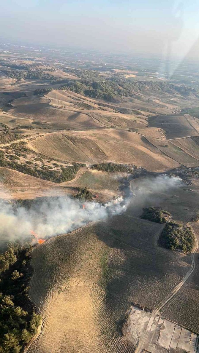 Adana’da Ormanlık Alanda Yangın Çıktı