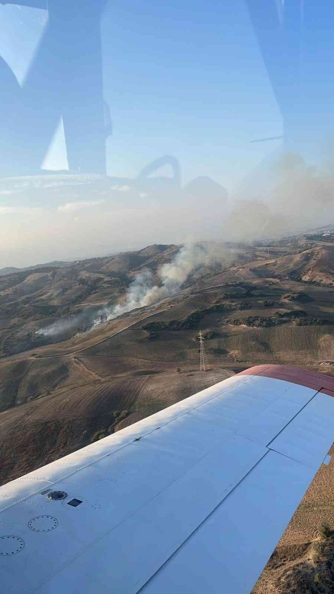 Adana’da Ormanlık Alanda Yangın Çıktı