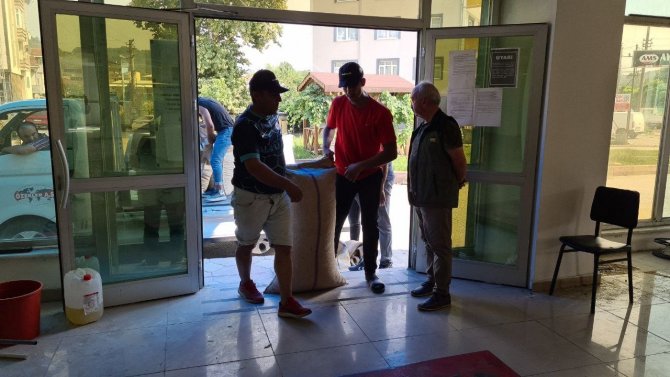 Tmo Zonguldak’ta 427 Ton Fındık Aldı