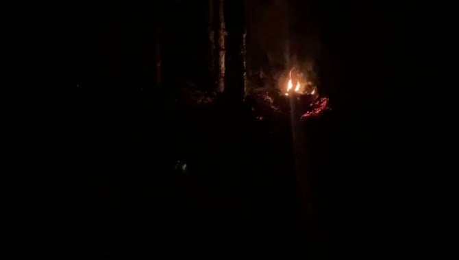 Ormanda Lastik Yakan 2 Kişi Kovalamaca Sonucu Yakalandı