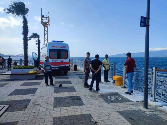 Fırtınada İskeleden Denize Düşen Yaşlı Adam İçin Seferber Oldular