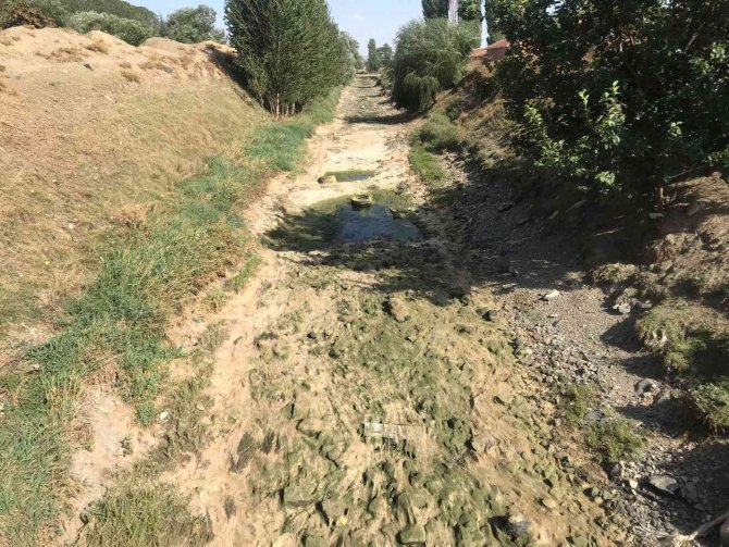 Kanal Tabanındaki Yosunlar Tepki Çekti