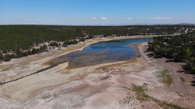 1 Yılda 100 Bin Metreküp Su Kaybeden Musaözü Barajı Kuraklıkla Boğuşuyor