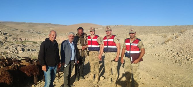 Iğdır’da Hayvan Hırsızlığı Yapanlar Yakalandı