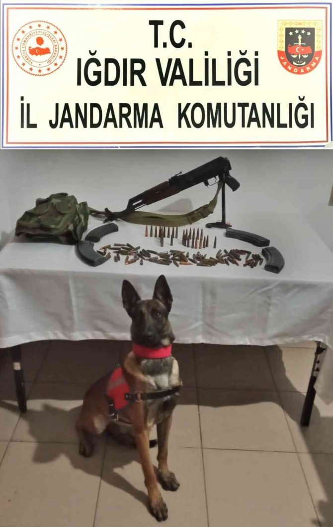 Iğdır’da Tarihi Eser Ve Silah Kaçakçılığı Operasyonu: 4 Gözaltı
