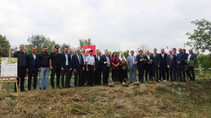 Safranbolu’nun Yerel Ürünü ’Çavuş Üzümü’ne Coğrafi İşaret