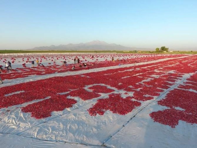 Erciyes’in Etekleri Kırmızıya Boyandı