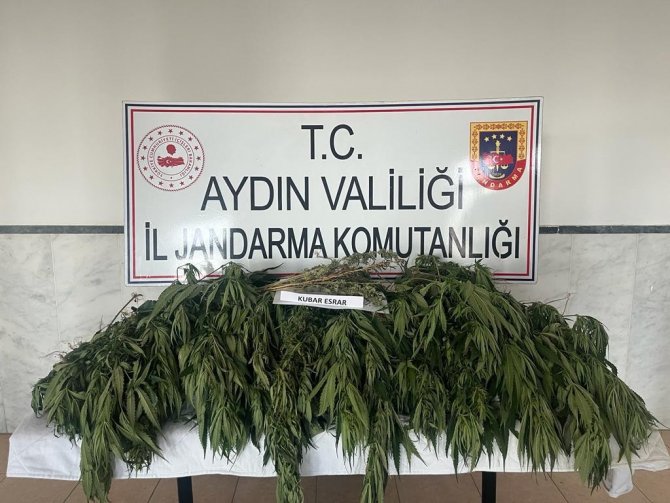 Aydın’da Uyuşturucu İle Mücadelede Bir Haftada 7 Kişi Tutuklandı