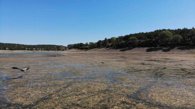1 Yılda 100 Bin Metreküp Su Kaybeden Musaözü Barajı Kuraklıkla Boğuşuyor