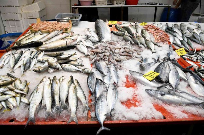 Kuşadası’nda Balık Tezgahları Halk Sağlığına Uygun