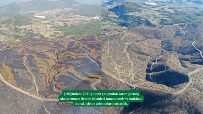 Kavaklıdere’de Yanan Alanlarda Çalışmalar Sürüyor