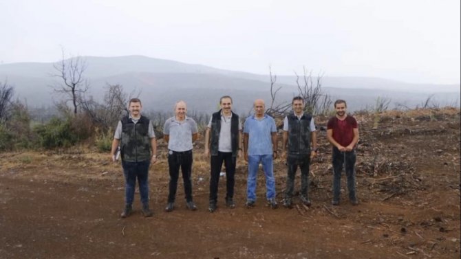 Kavaklıdere’de Yanan Alanlarda Çalışmalar Sürüyor