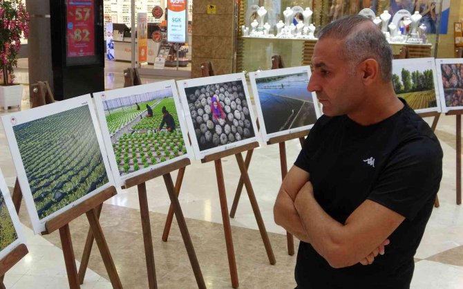 Osmaniye’de "Tarım, Orman Ve İ̇nsan" Konulu Fotoğraf Sergisi