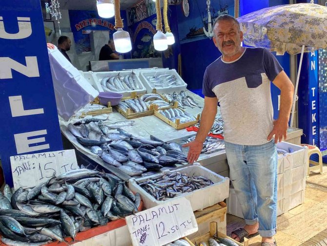 Sinop’ta Az Miktarda Avlanan Hamsinin Kilosu 50 Tl