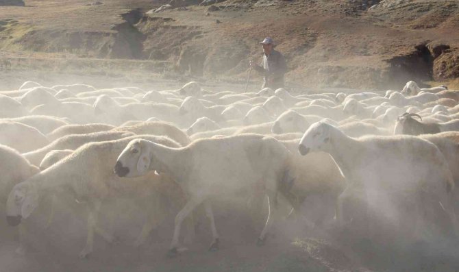 Suya Ulaşmak İçin 15 Kilometrelik Tozlu Yolculuk