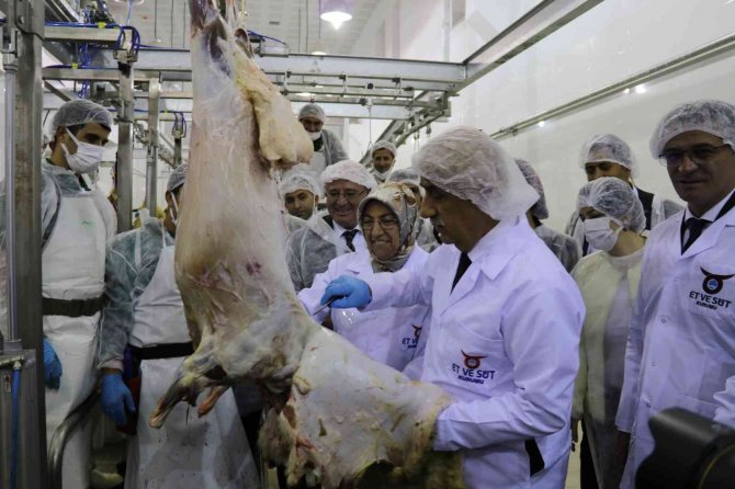 Tarım Ve Orman Bakanı Kirişci’nin Van Temasları