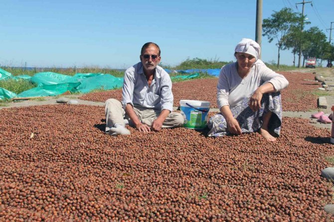 Üreticiye Ferrero’ya Karşı Tmo Ve Fi̇skobi̇rli̇k Önerisi