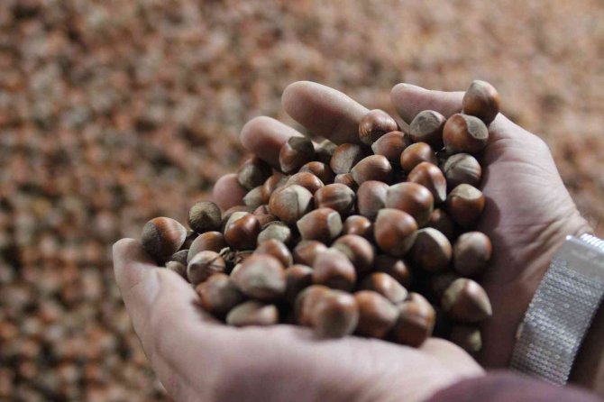 Üreticiye Ferrero’ya Karşı Tmo Ve Fi̇skobi̇rli̇k Önerisi