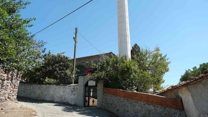 Kurnaz Tilki Önce Cami İmamının Ayakkabısını, Sonra Köyün Tavuğunu Çaldı