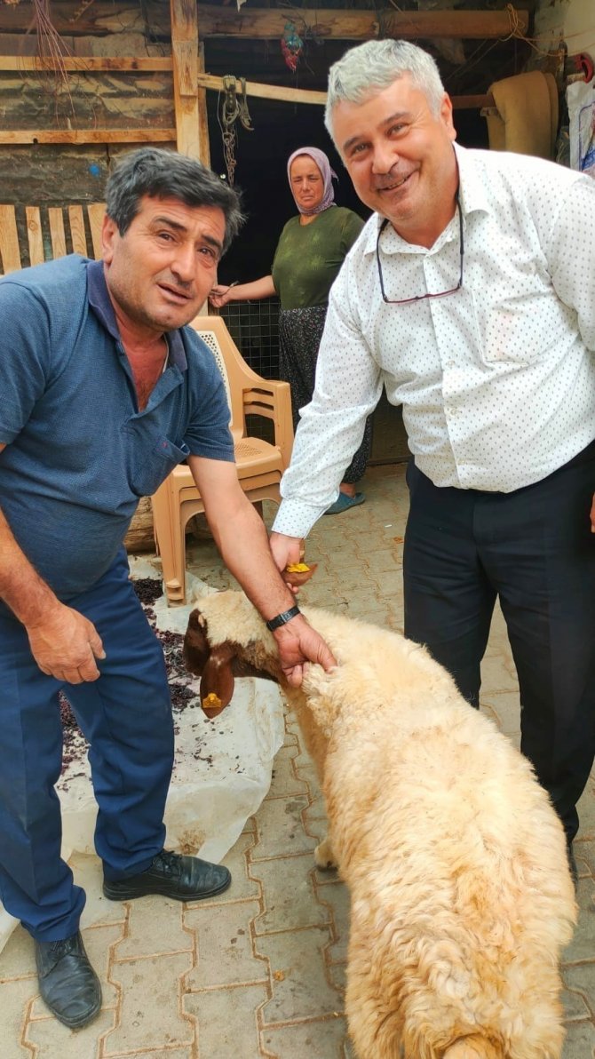 Sürüden Kopan Koyunu Tarım Görevlileri Buldu