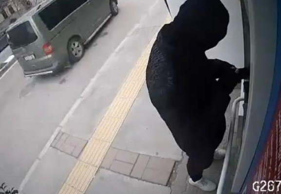 ‘Alakart Operasyonu’nda 13 Gözaltı: Örgüt Liderinin 80 Yıl Kesinleşmiş Cezası Var