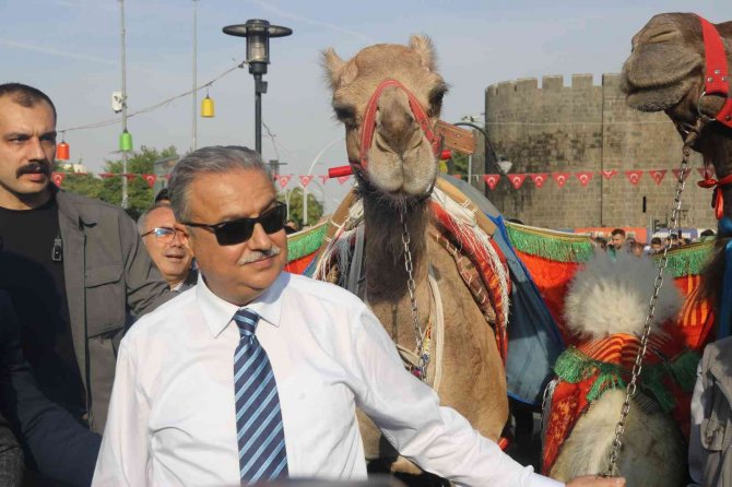 Develerle Sokaklarda Taşındı, Diyarbakır 12. Karpuz Festivalini Coşkuyla Kutladı