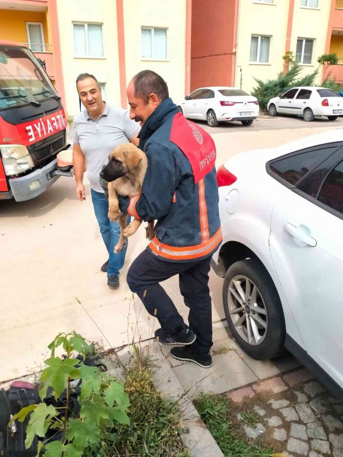 Araç Altına Sıkışan Yavru Köpeği İtfaiye Ekipleri Kurtardı