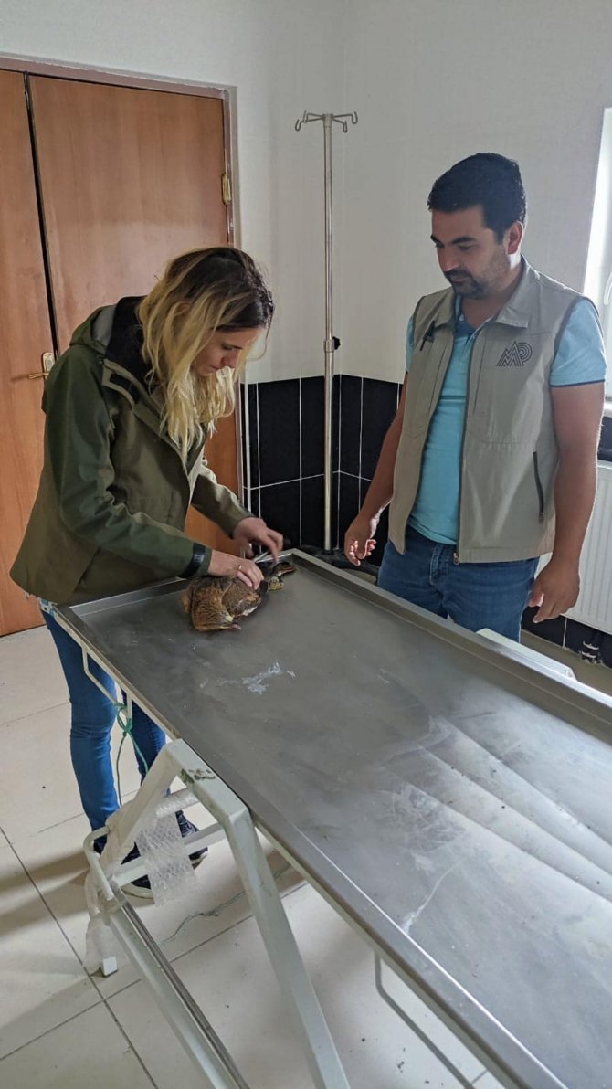 Kars’ta Yaralı Tedavi Altına Alındı