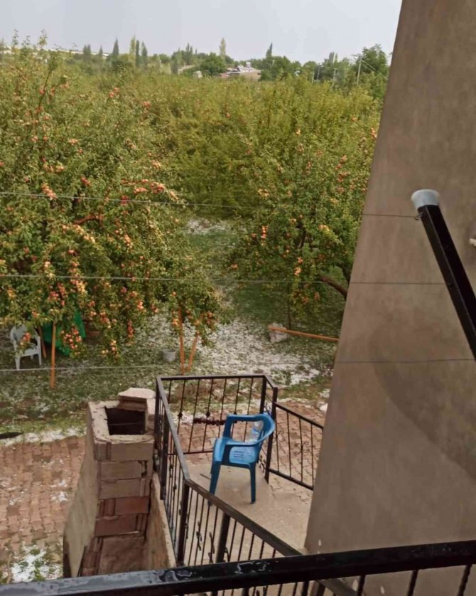 Çamardı’da Dolu Yağışı Elmalara Zarar Verdi