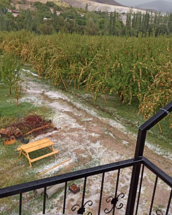 Çamardı’da Dolu Yağışı Elmalara Zarar Verdi