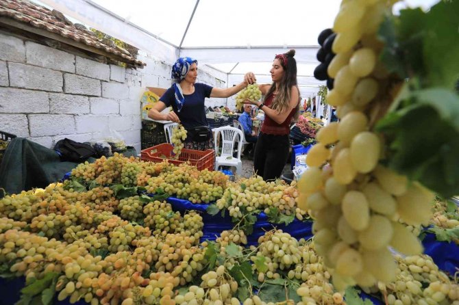 Üzüme Dair Her Şey Bu Şenlikte