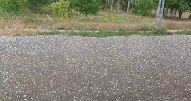 Sivas’ta Dolu Yağışı Etkili Oldu